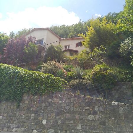 Les Lauriers Apartment Roquebilliere Exterior foto